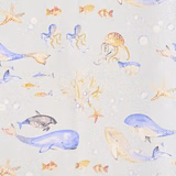 Ocean
