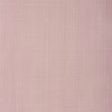 Pink Rose