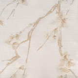 Bloom I