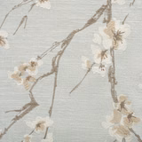 Bloom II