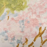 Cherry Blossoms