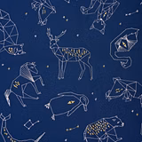 Constellation
