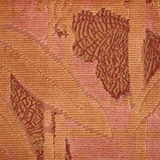 Mariposa