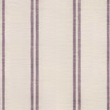 Violet Stripes