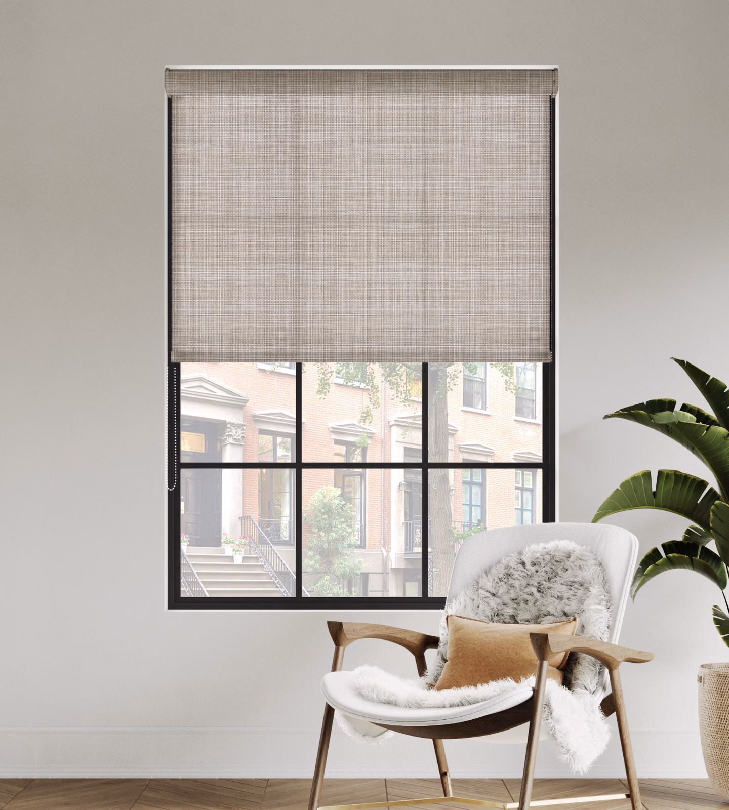 Roller shade with valence and chain loop filters light over a black-framed window in a modern living room with a wood accent chair and large green plant.