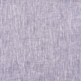 Wisteria